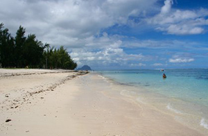 Grand Cafe & Beaches